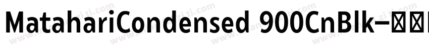 MatahariCondensed 900CnBlk字体转换